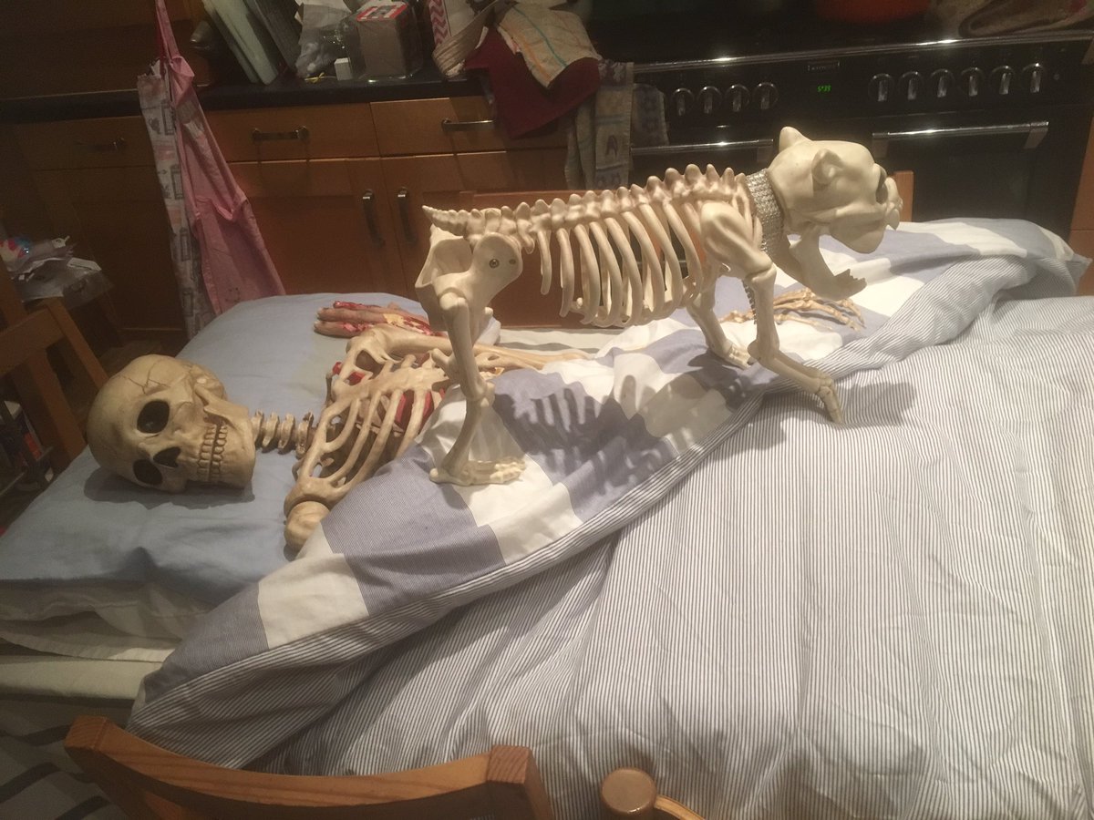 Daveconway123's tweet image. #aprilfoolsday 

😱😱I woke up to find THIS on the kitchen table!!!☠️😂

#Ipoopedmypants 

Someone's been up to her old tricks! @scarletmdcxx