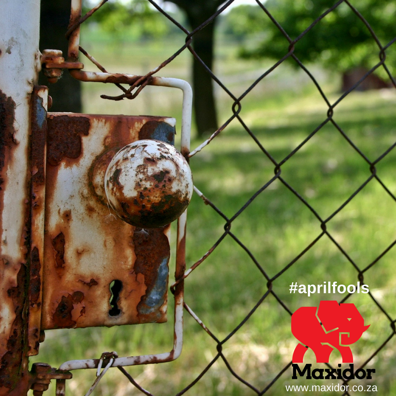 Maxidor's tweet photo. Don’t be the fool of the neighbourhood, secure your family with Maxidor
#maxidor
#aprilfools https://t.co/cNJdZDGyre