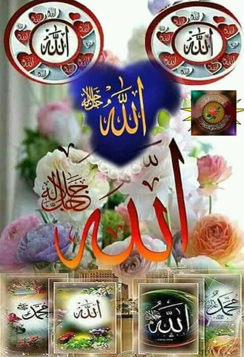 ZOyaL_HaRmaIn's tweet photo. 😇😇جنکے دلوں میںرحم
طبیعت میں سادگی
احساسوں میں خلوص اور
سوچوں میں"سچائی هے.
ایسےانسانوں کا وجود الله کی طرف سے''مخلوق کے لیےنعمت هے😇😇 https://t.co/lfnsve0kT0