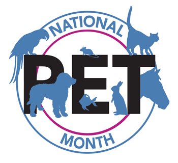 the_pet_network's tweet photo. It's #NationalPetMonth! Look out for our posts following this year's theme of "There's a Pet Out There For You" https://t.co/mQIYI0xYJ2
