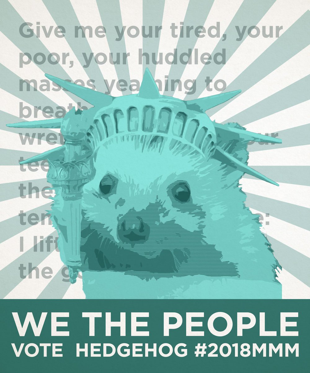 PPricklepants's tweet photo. @bpmcdmt @radiationmouth @NatickBobCat @Mammals_Suck @2017MMMletsgo Good people, you know what is good, right, and just in your hearts.  
Liberty, Justice, Hedgehogs #VoteHedgehog #2018MMM 
#2017MMM https://t.co/6lyOHCJeCe