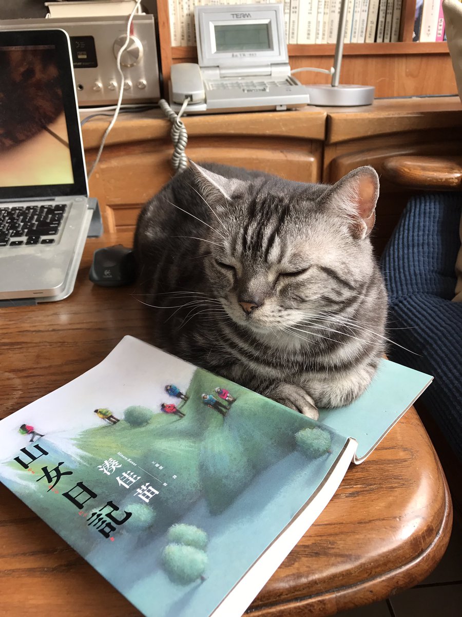 HuiChiTu's tweet photo. This cat loves my book especially the one you are reading now 😆#cats #taipei #books https://t.co/Izmr4OUrko