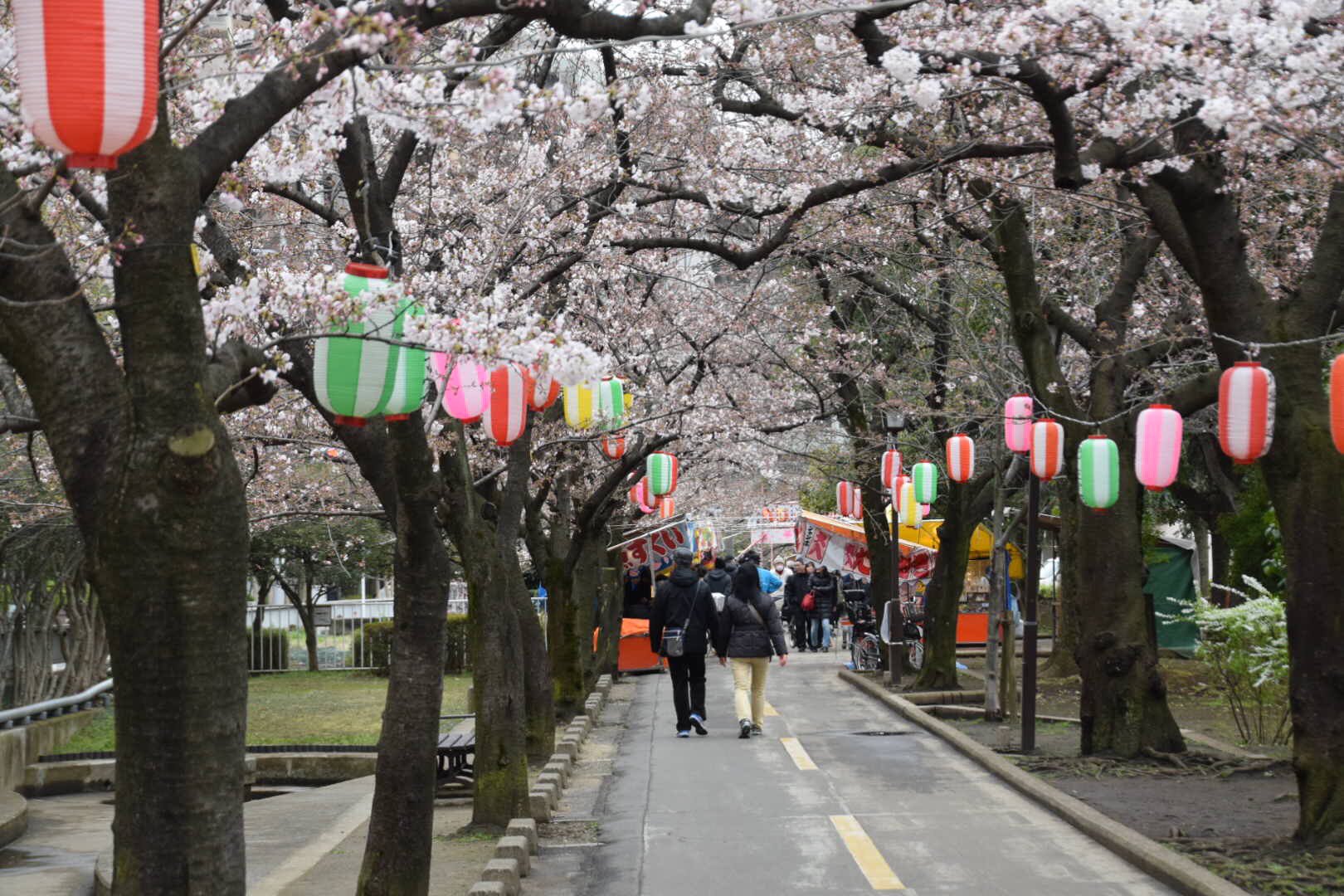 江東区 こうとう桜だより4 1 仙台堀川公園 北砂6 7 屋台も出て賑やかです 桜まつりは4 9まで 桜 江東区 T Co Pnecv2jdsc Twitter
