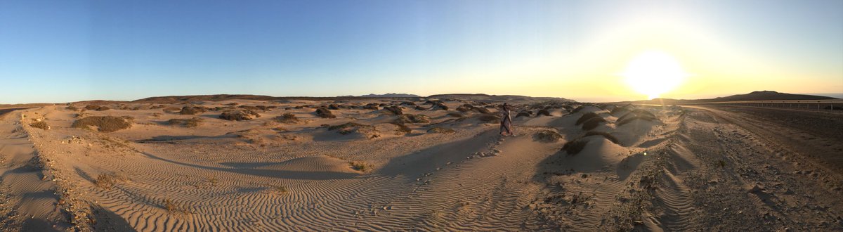 DEDiazCL's tweet photo. Borde Costero de #Atacama, una maravilla, #Huasco https://t.co/zb1x7w4OnD