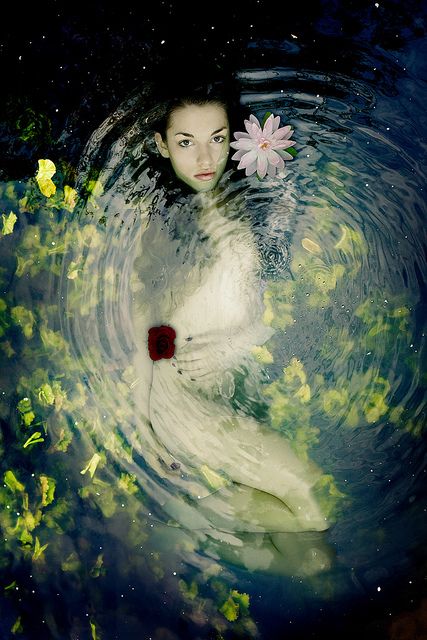 collector_dream's tweet photo. underwater #nude ...#photography #art https://t.co/jC88BTbLua