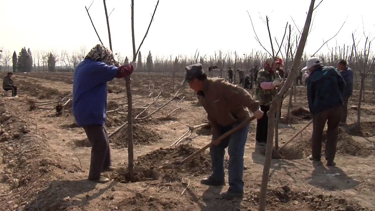 What If We Change - Habitat Restoration Documentary ~ ecopreservation.org/what_if_we_cha…
#Sustainability #environment