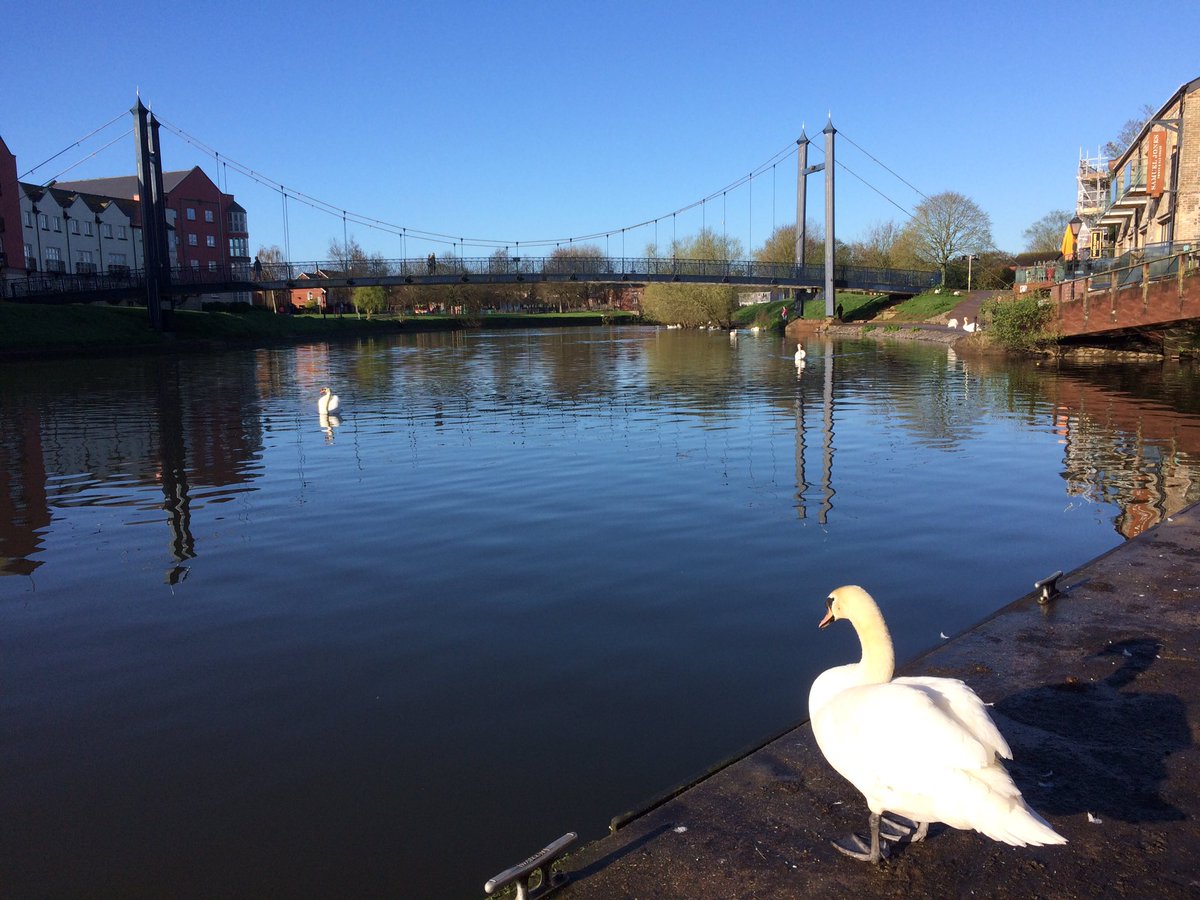 SimonHallNews's tweet image. It's no #aprilfool happily; our wonderful world really is this beautiful. 
#Devon