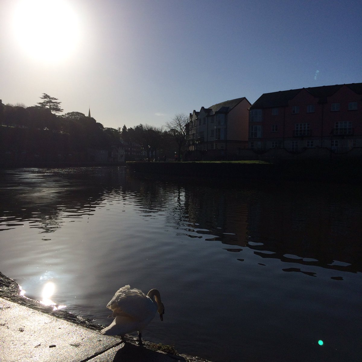 SimonHallNews's tweet image. It's no #aprilfool happily; our wonderful world really is this beautiful. 
#Devon