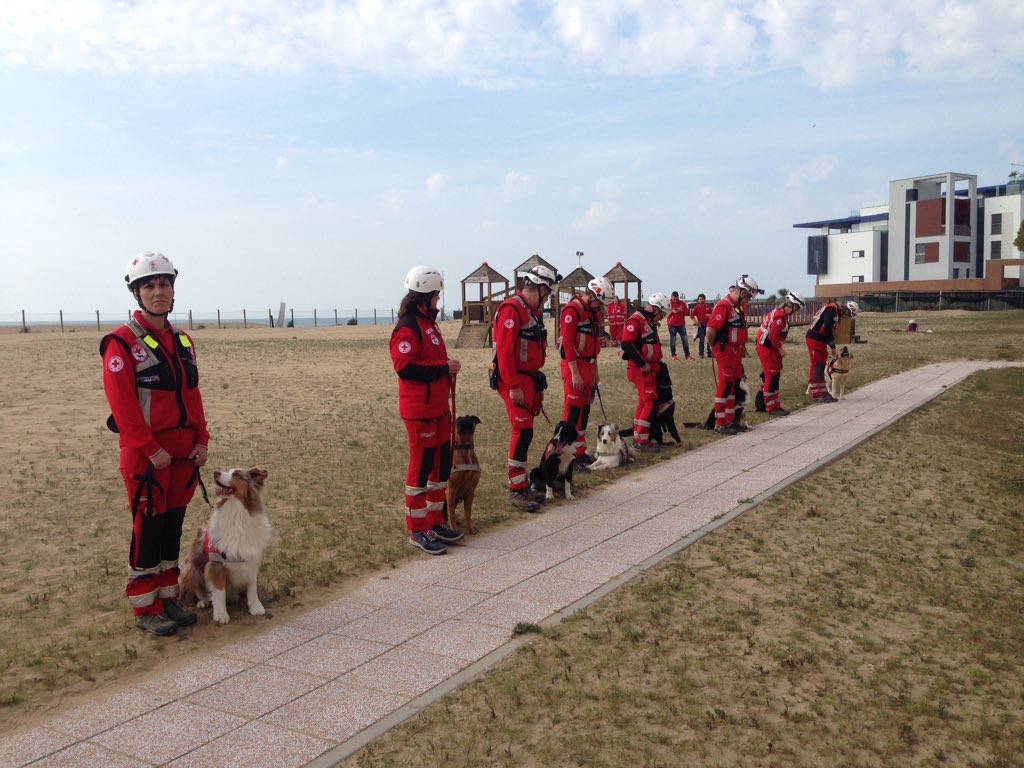 Inizia l'addestramento al #casjesolo #criveneto #crocerossa
