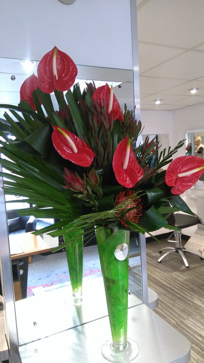 StevenBurgin's tweet photo. Beautiful flowers for our salon, spring is here!🌸 #salonlife #spring #hairdresser #stevenburgin #bespoke #beautiful https://t.co/R4bN7qPVGK