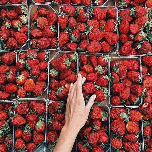 BestMotivation_'s tweet photo. Les fraises c'est tellement la base 😍🍓 https://t.co/HZA740exu4