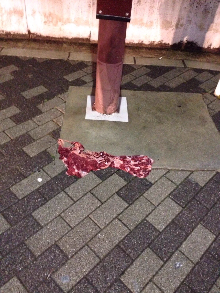 道端に牛肉が落ちてる?よく見たらスカーフだったｗ
