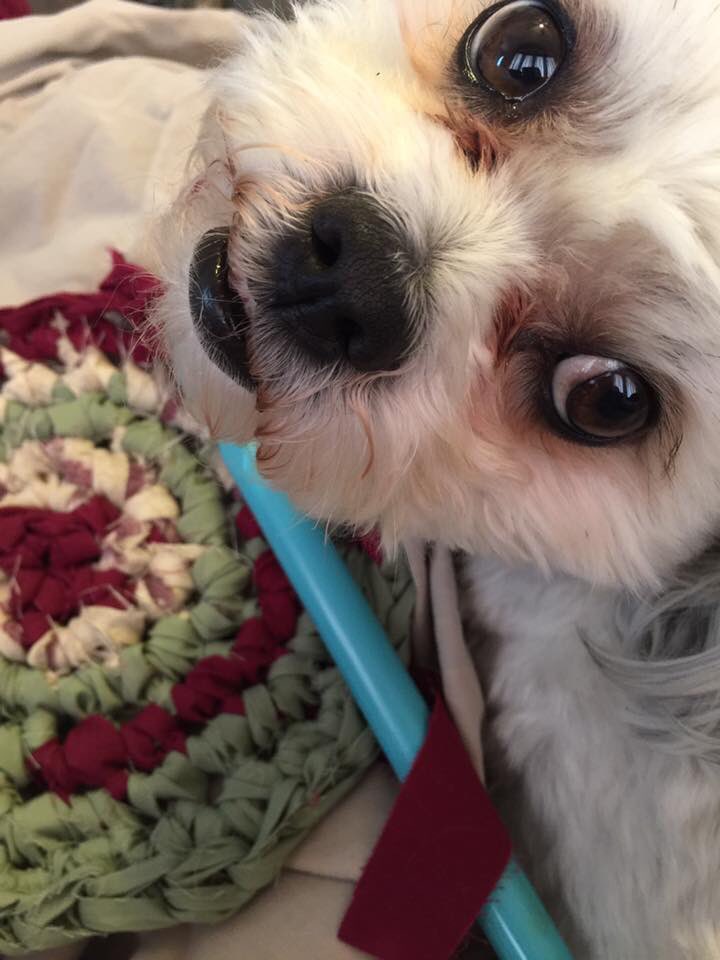 HOTThreadsSD's tweet image. 