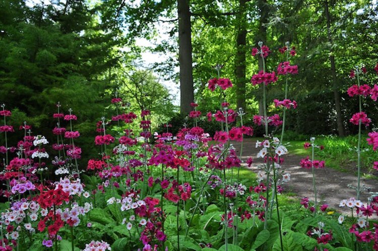 atnorfolk's tweet photo. Scavenger Hunt Bonanza @fairhavengarden today - https://t.co/9ZKPadMdce https://t.co/wlrHmvAIgr