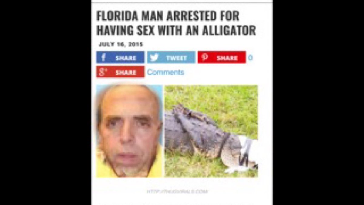 Bobo9Eleven's tweet photo. @sternshow @boboFromCA @DummyLama_ @bobo_hstern @B0B0HSTERN69 #Bobo #HowardStern https://t.co/rwqTZnCuyr