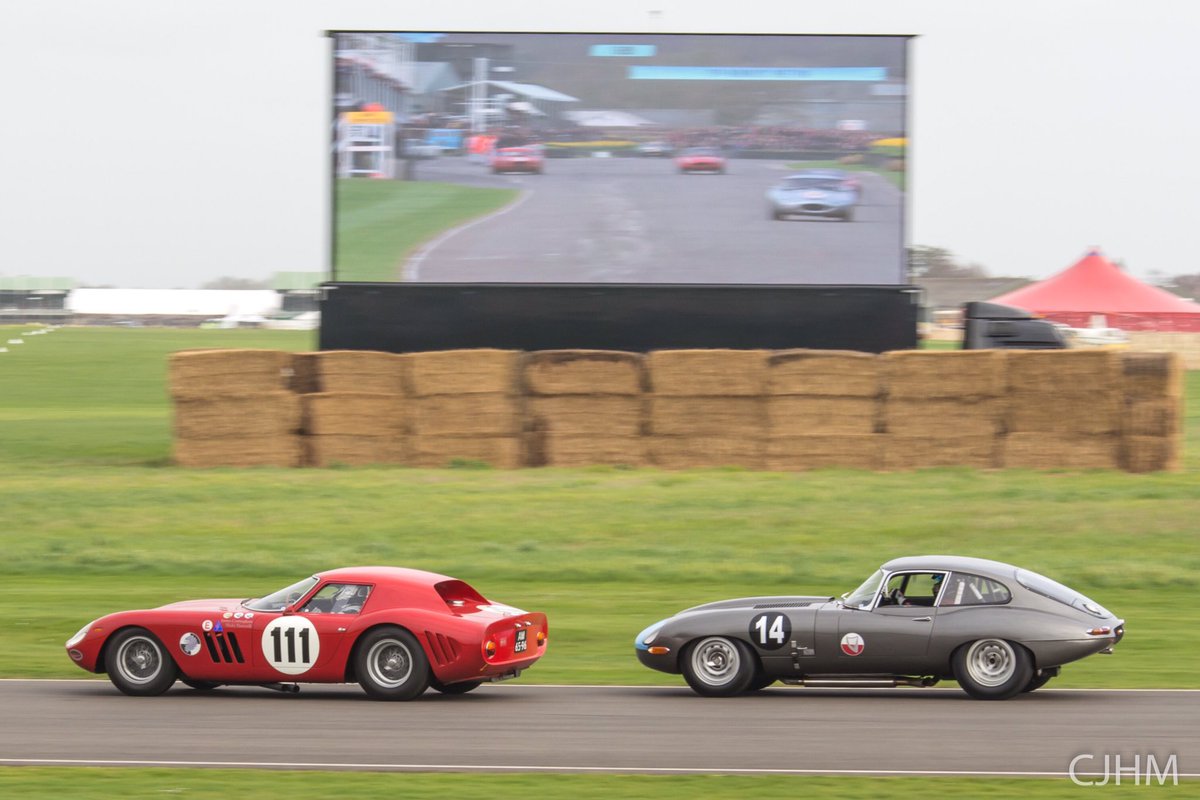 #Caturday
Cat chases Prancing Horse
#Jaguar vs #Ferrari #75MM