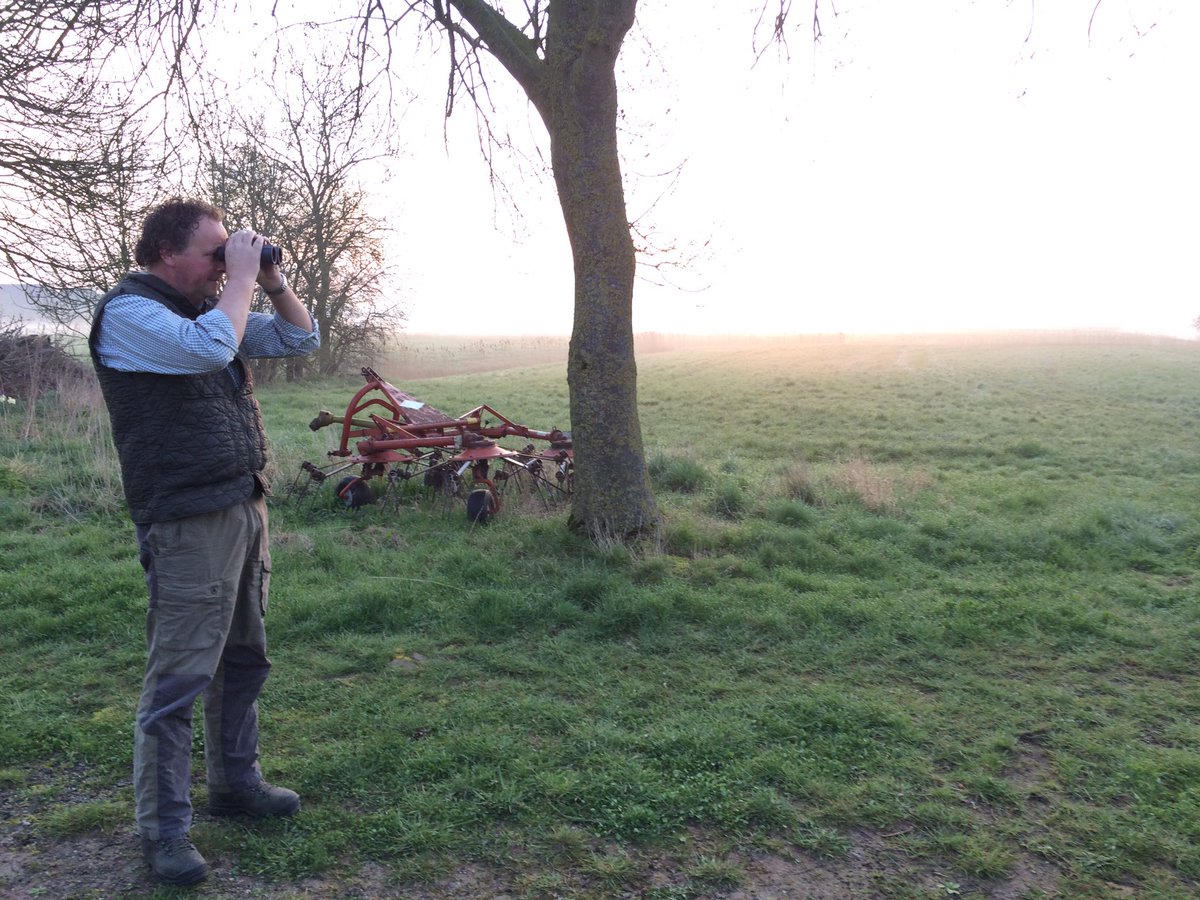 marrittuinman's tweet photo. Vanochtend #reetelling tussen Zuidwolde, Winsum en Bedum #lekkervroeg https://t.co/t3y2fbsEwQ