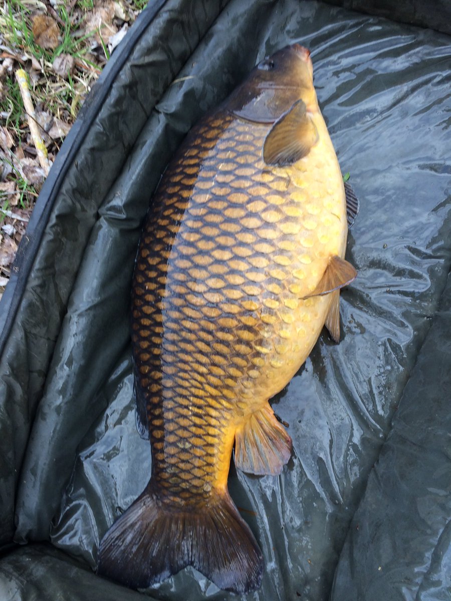 Caught 1....happy days