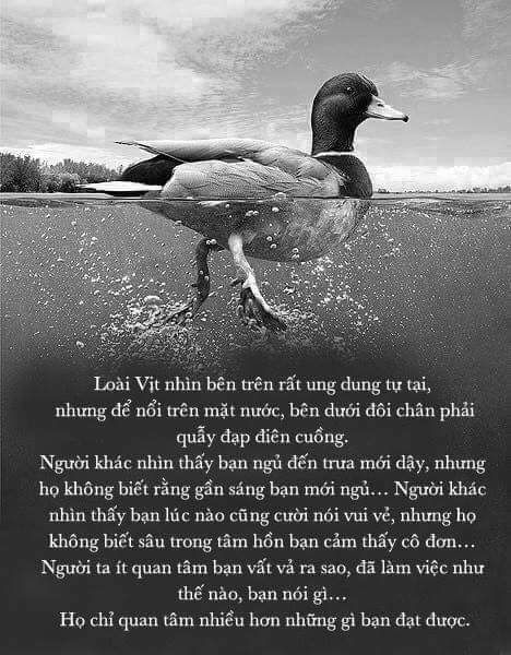 DNPPower_MPD's tweet photo. Đằng sau sự bình thản bên ngoài luôn là sự cố gắng không ngừng nghỉ
#dnpgenerator 
@DAINGUYENPHAT 
https://t.co/Ud45wQRbz0 https://t.co/OFXS4qkGOM