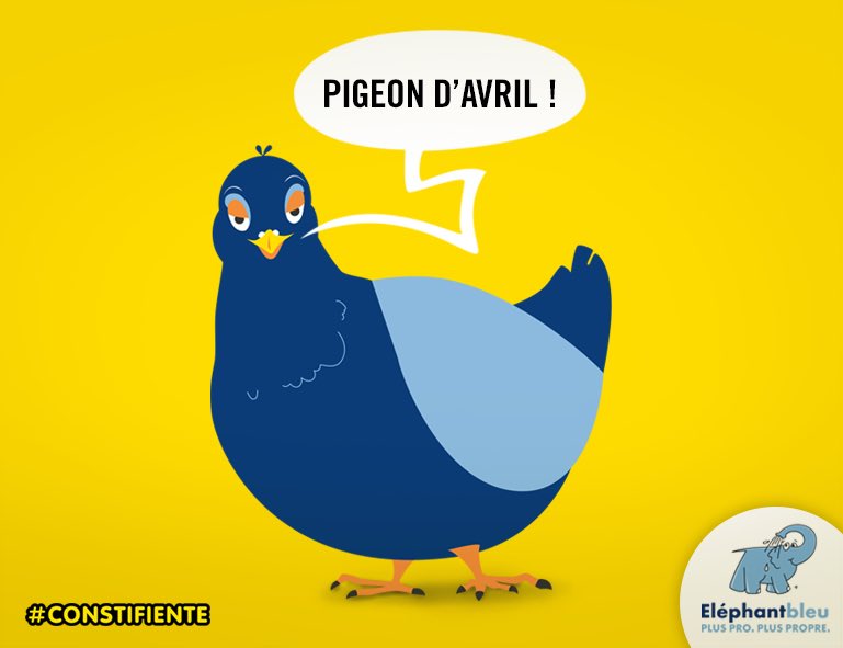constifiente's tweet photo. Vous avez adoré notre innovation #Constifiente ? 
Vous allez adorer nos vraies innovations dans tous les centres #ElephantBleu
#PigeonDavril https://t.co/CBA4DlcQPd