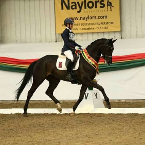 scharfuk's tweet photo. Scharf UK and Mount St John have just announced the sponsorship of Emma and Lucinda #designyourown #scharfuk #dressage https://t.co/7dGbZC1iaj