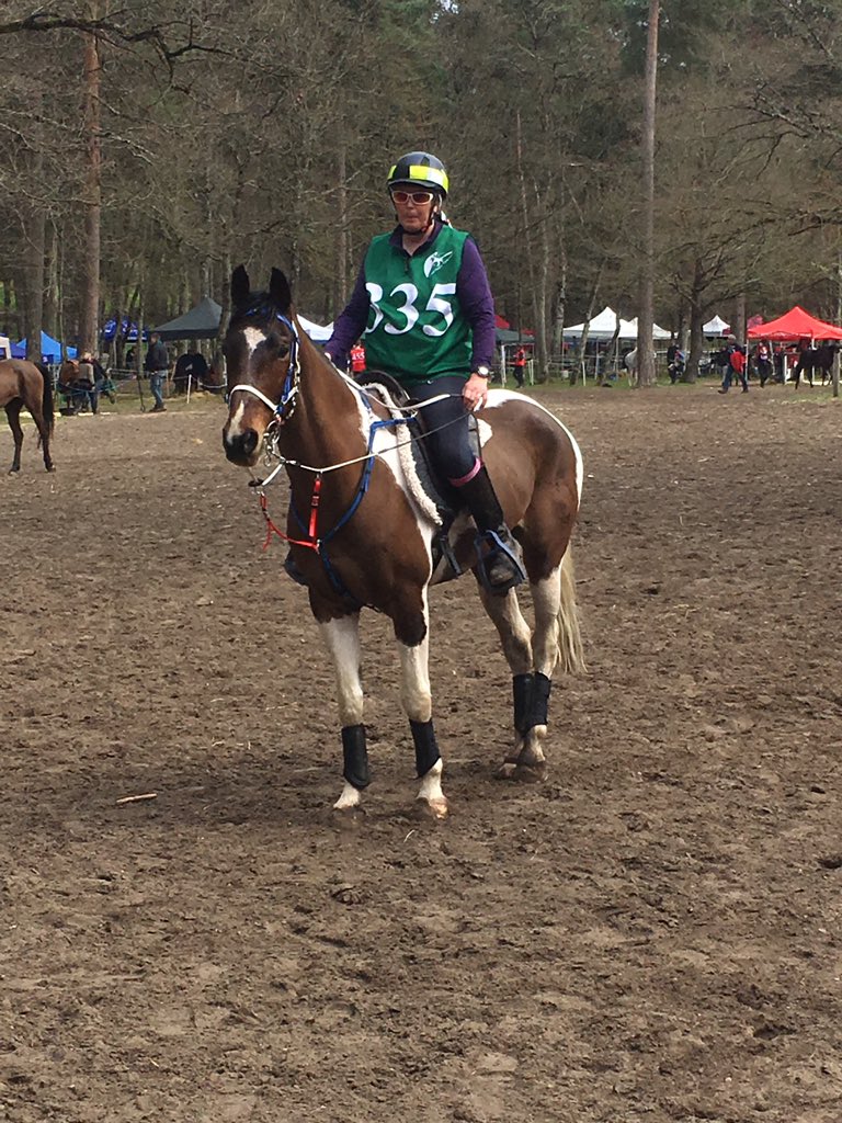 samOwen111's tweet photo. Oliver Twist going out on this 3rd loop https://t.co/mCcXTZeYbl