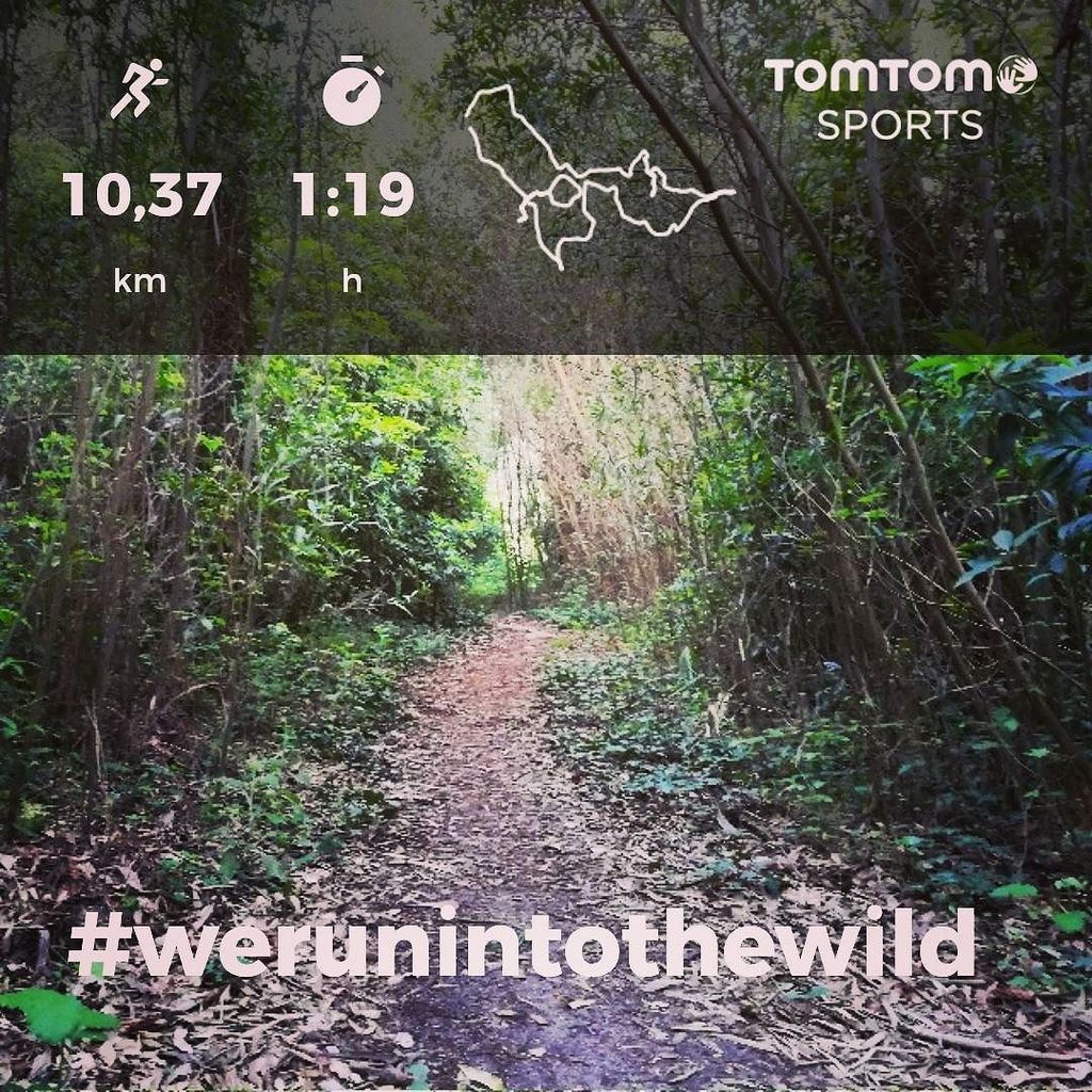 franciscojnsf's tweet photo. De manhã é que se começa o dia. #werunintothewild #sintra https://t.co/bwb6EL3iIS