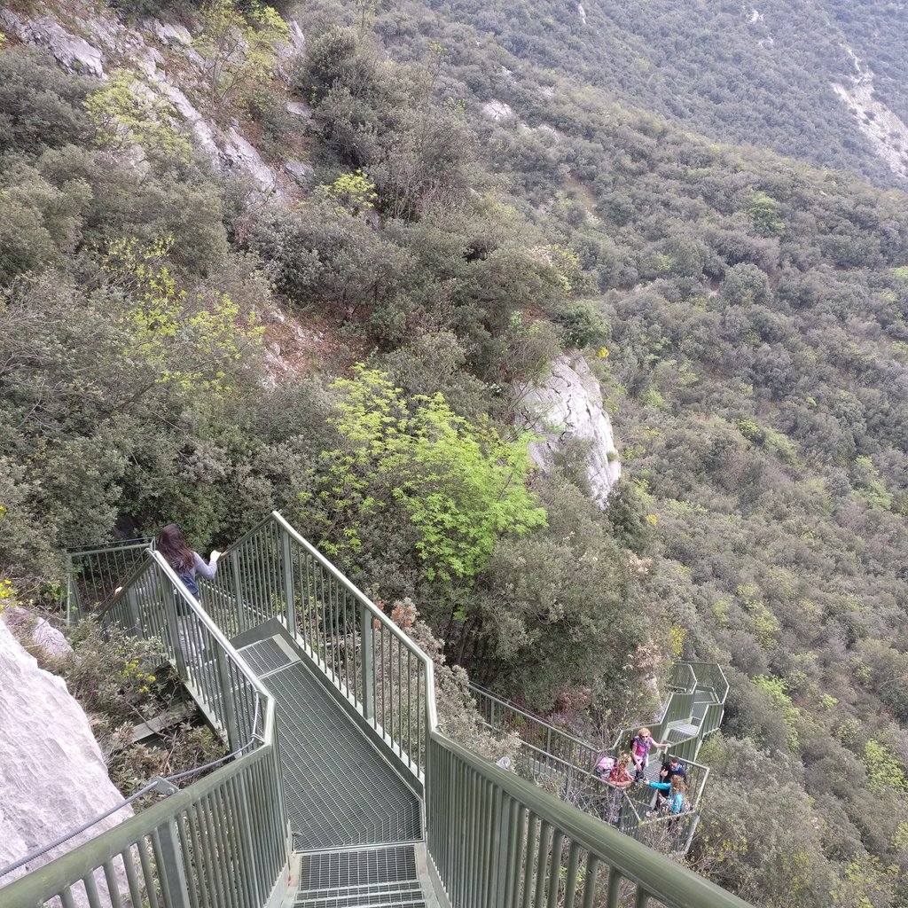 untrolleyperdue's tweet photo. Oggi siamo partiti da Torbole e abbiamo costeggiato il #lagodigarda seguendo il percorso #busatte #tempesta: fantastico! #untrolleyperdue https://t.co/Wj5uyKOGqh