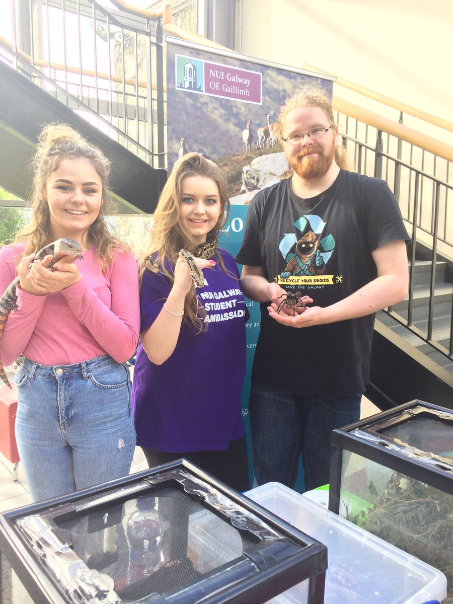 MurielGrenon's tweet photo. Chat &amp; learn something about #stem at @nuigalway at the science experience workshop 11-1pm #choosenuigalway https://t.co/TVv7ho9M8x