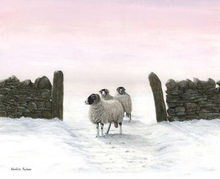 thesandraparke1's tweet photo. Busy morning in gallery, Off to new home in Scotland with a lovely couple : 'is t'coast clear', 'sunset boulevard', 'stop tha shuvin'#morrit https://t.co/zoJnbUBknt