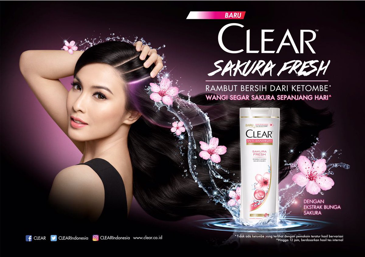 BEJO & BOJU tweet media