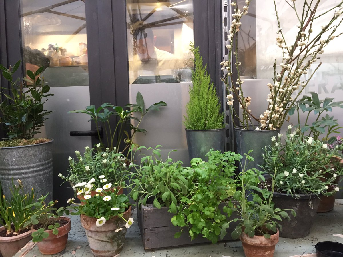 thetravelnews's tweet photo. Informal lunch at #PianoStrada, kitchen atelier in the heart of Rome, held by mother and two daughters and a dear friend #tasteofeden https://t.co/iyt9vVILnt
