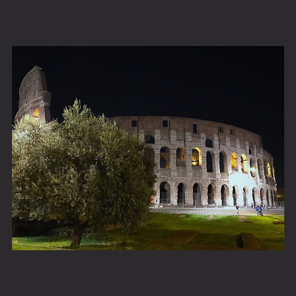 Sasha Petrov tweet media