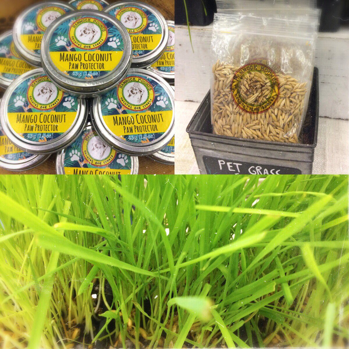It's seedy Saturday in #Peachland today 10-2! 🌱🐾🍑 We have pet grass, paw protector &amp; of course, dog treats!! #westbank #kelowna #dogs #local