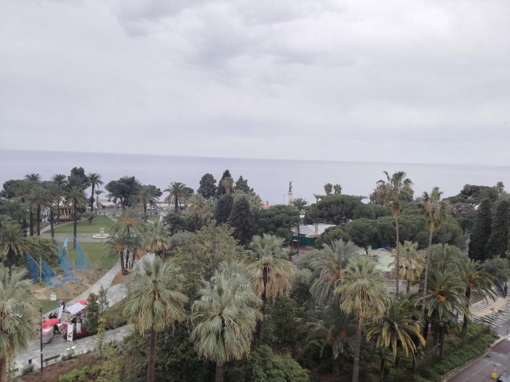 Valentina Dirindin tweet media