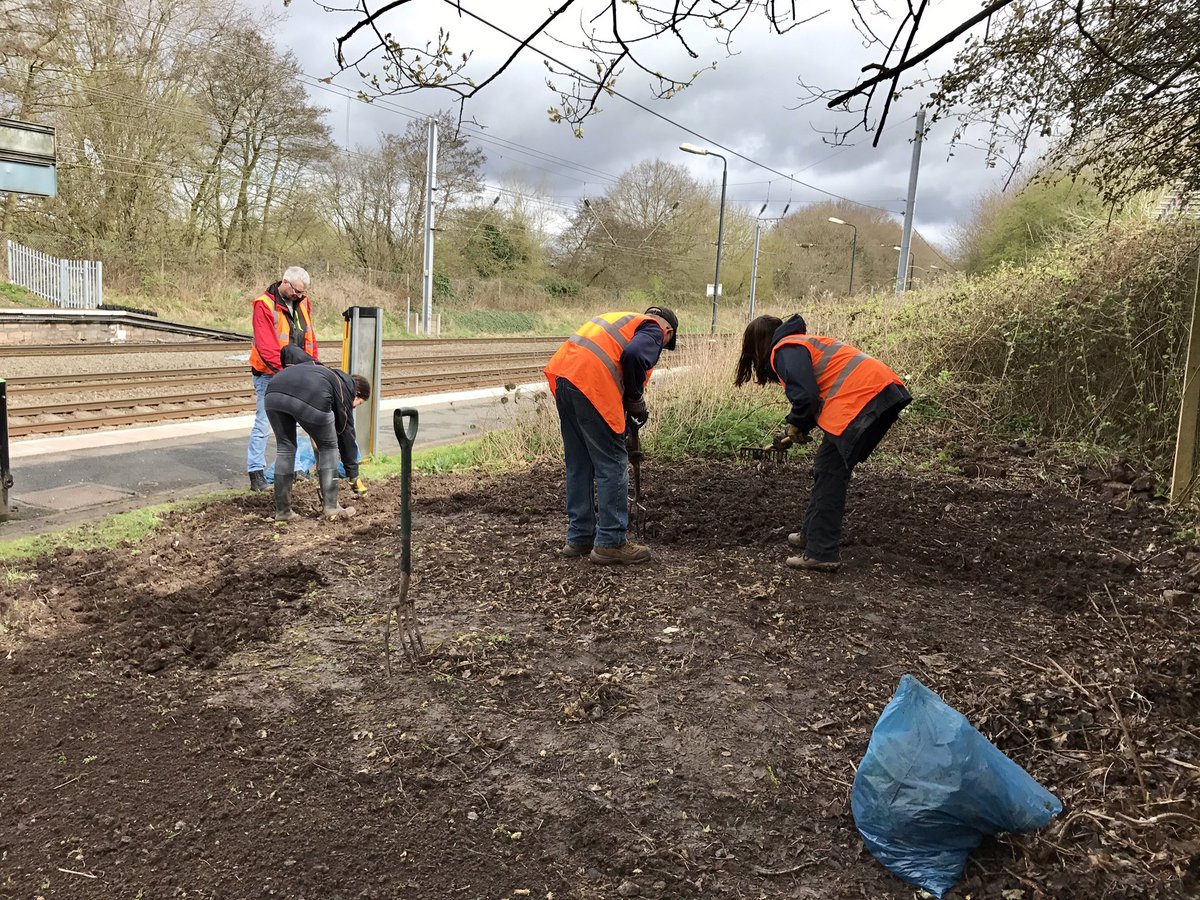 __WERK's tweet image. Productive morning clearing &amp;amp; planting seeds at Longbridge Train Station @northfieldeco @Cathy_Wade @LPAP2016 @LondonMidland