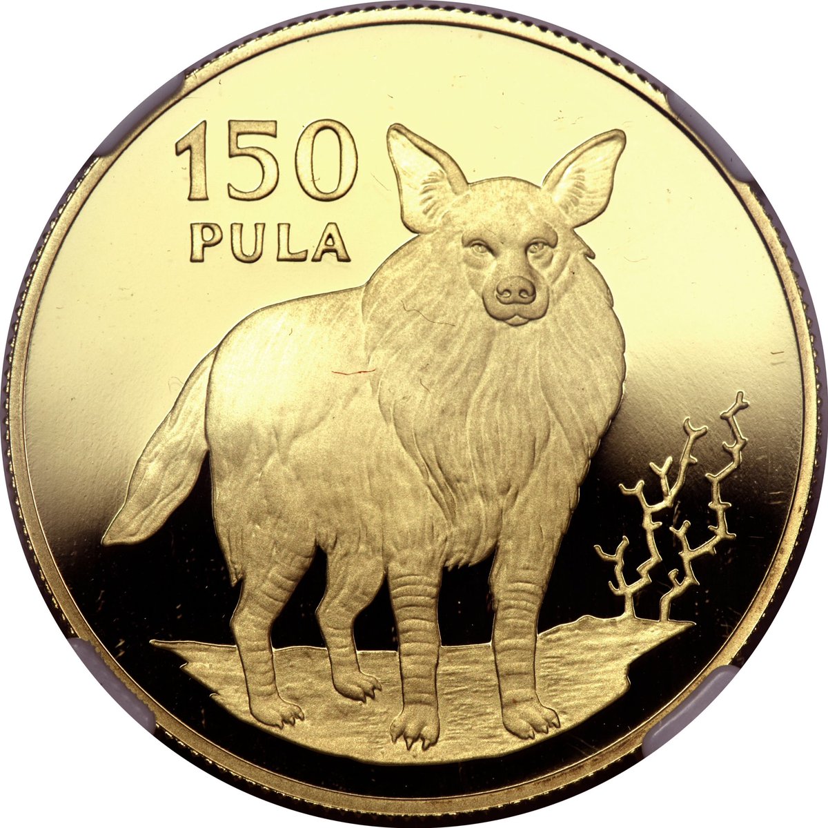 coinmania's tweet photo. Botswana - Gold Coin 1978
Brown Hyena
Purity .900
Weight 33.43 G
Face Value 150 Pula https://t.co/1h2BC16AL8