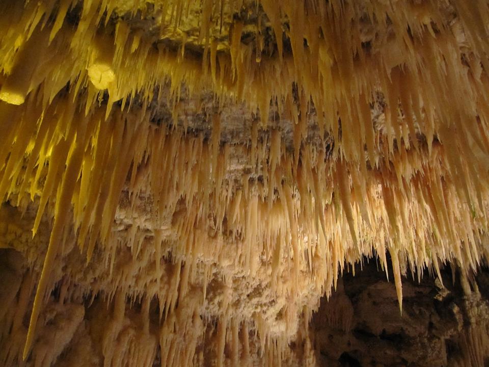 EdenPuglia's tweet photo. Stalattiti in ogni dove... queste le #GrottediCastellana #TerradiBari
Buona serata da #EdenPuglia https://t.co/cRKN0GivbG