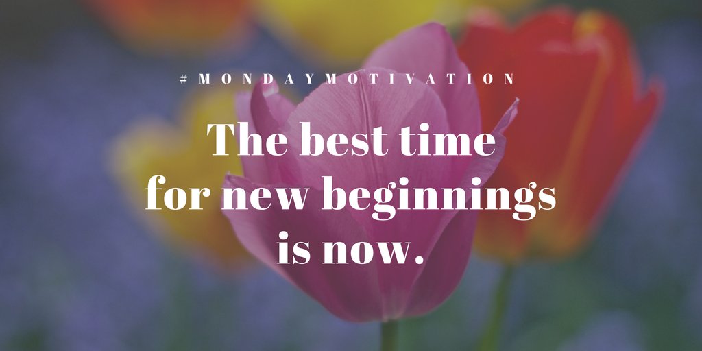 FS_Financial's tweet photo. “At the end of the day, let there be no excuses, no explanations, no regrets.” #SteveMaraboli #MondayMotivation https://t.co/umLbBSCLSx