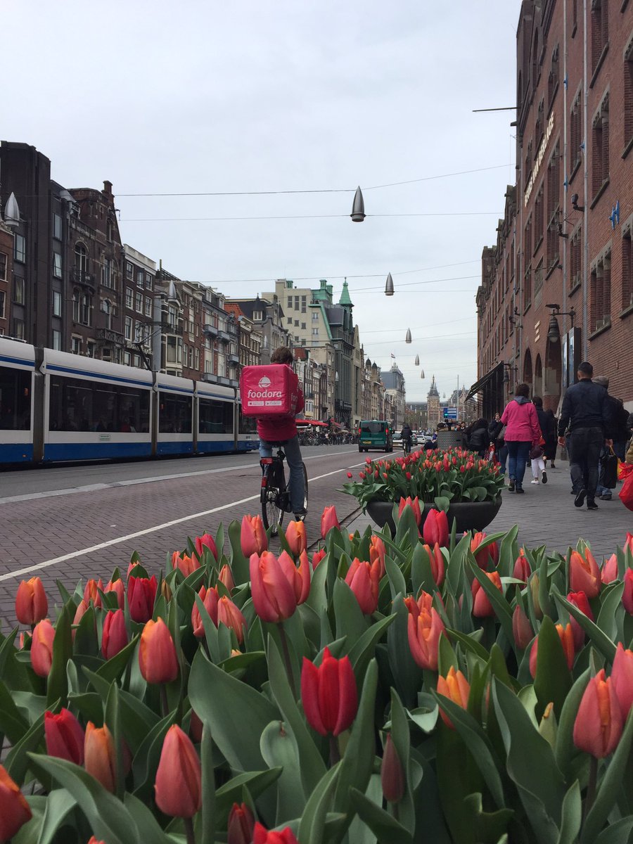 DescubraHolanda's tweet photo. Descubra #Amsterdam #Holanda en #primavera #tulipanes #bicicletas #canales #canales #molinos etc, https://t.co/gbTPt5CVEB https://t.co/EuYIhxyvGp