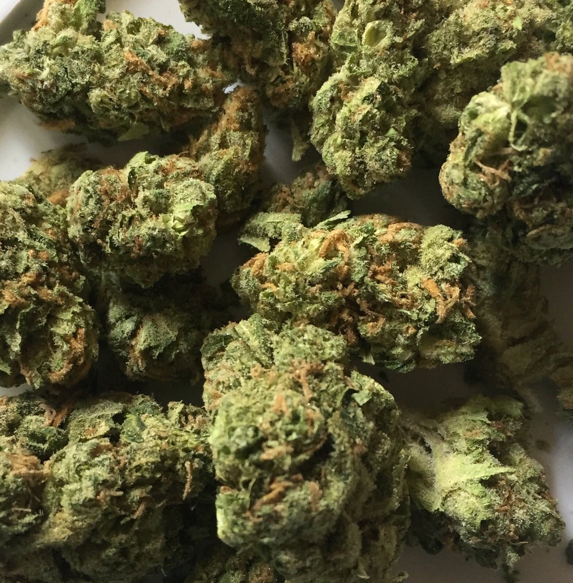_jena4n's tweet photo. #HowIMakeThingsBetter ..with this 😏💚💨 https://t.co/wIxJ2RARMl
