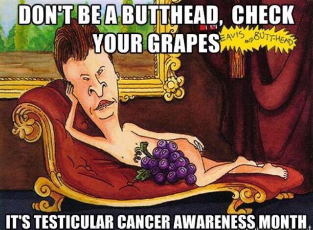 MovemberPhx's tweet photo. Most of us don't really know our nut(s) at all. So give 'em a feel: it just might save your life. #Testca #TesticularCancerAwarenessMonth https://t.co/3MccVvkgyH