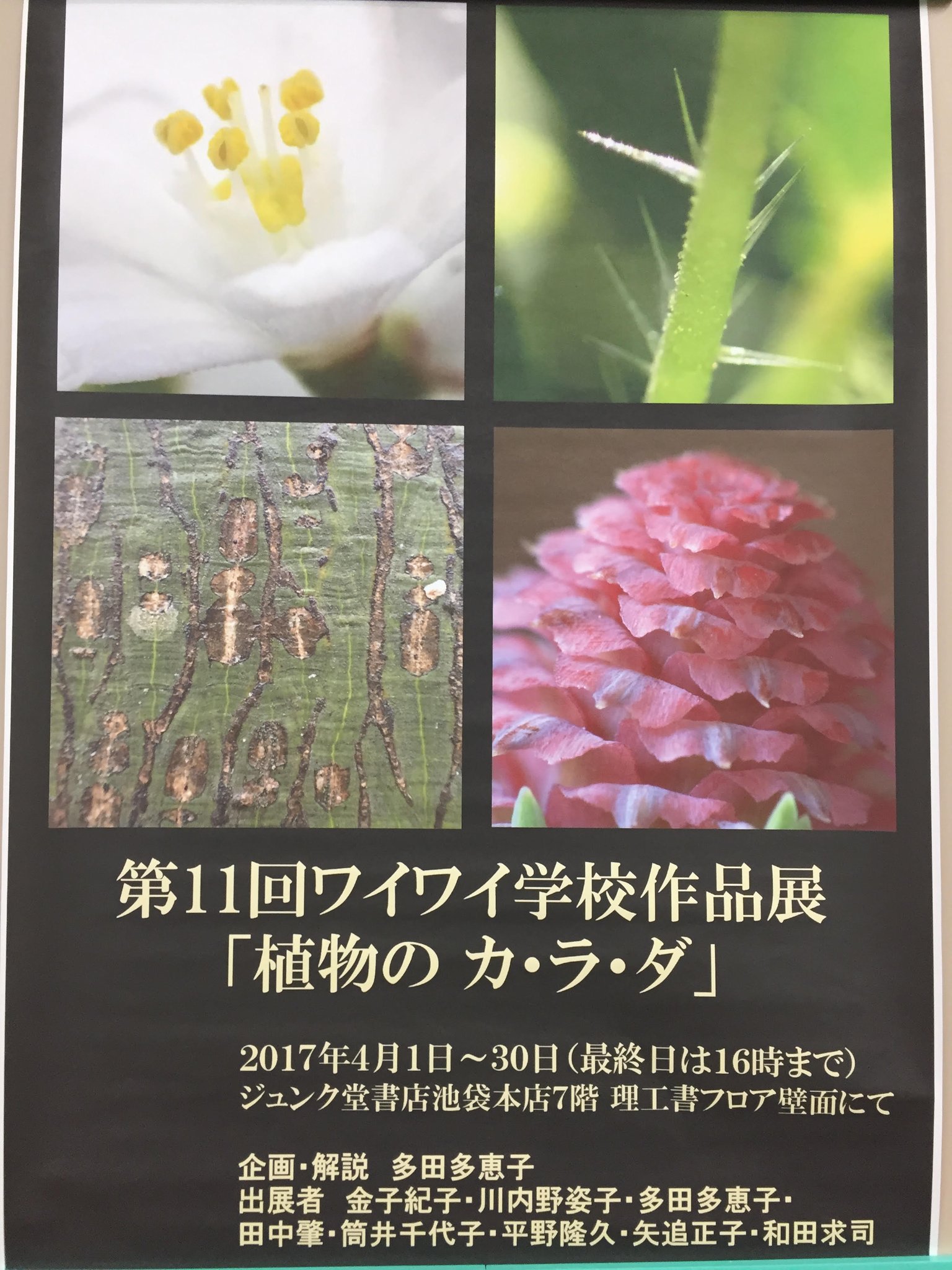 ジュンク堂書店池袋本店 理工書担当 フェア案内 本日より 7f壁面にて ワイワイ学校作品展 植物 のカ ラ ダ を開催しております 期間は4月1日 4月30日16時まで さまざまな植物をじっくりご覧ください また 植物図鑑やハンドブック等 関連