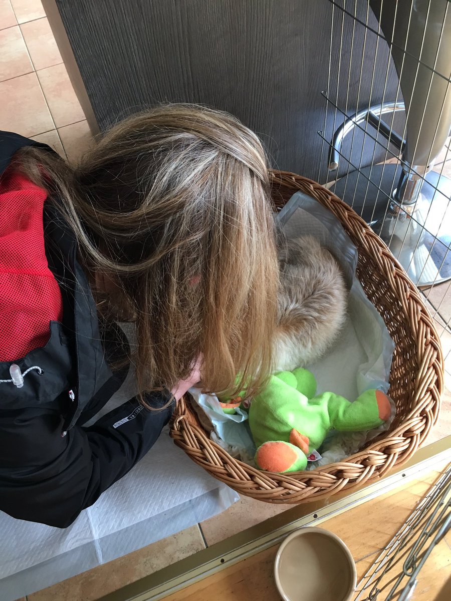SaffiBorderT's tweet photo. My Hunan sister has arrived ❤️ https://t.co/DNvBsGGmF1