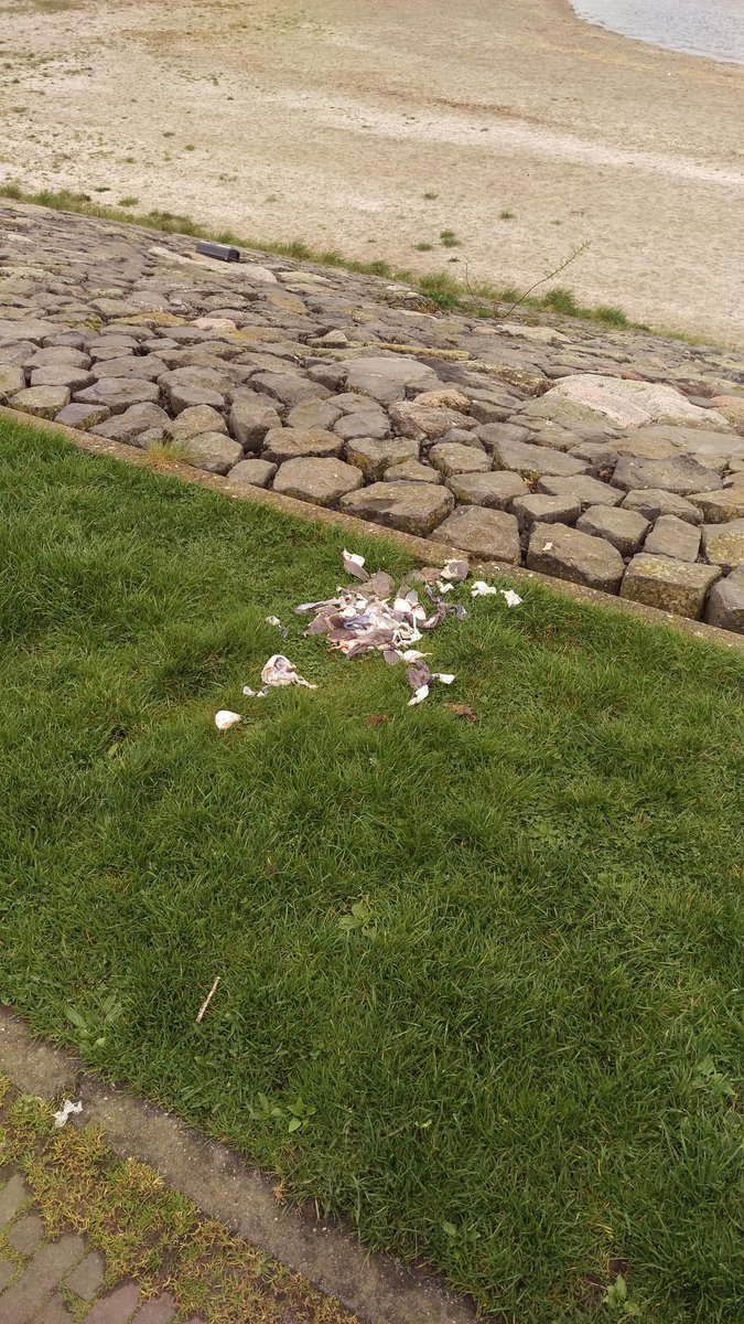 RvSlooten's tweet photo. Waar zouden die bakjes langs de dijk allemaal voor zijn? 😏 https://t.co/6Bc82zxLaO