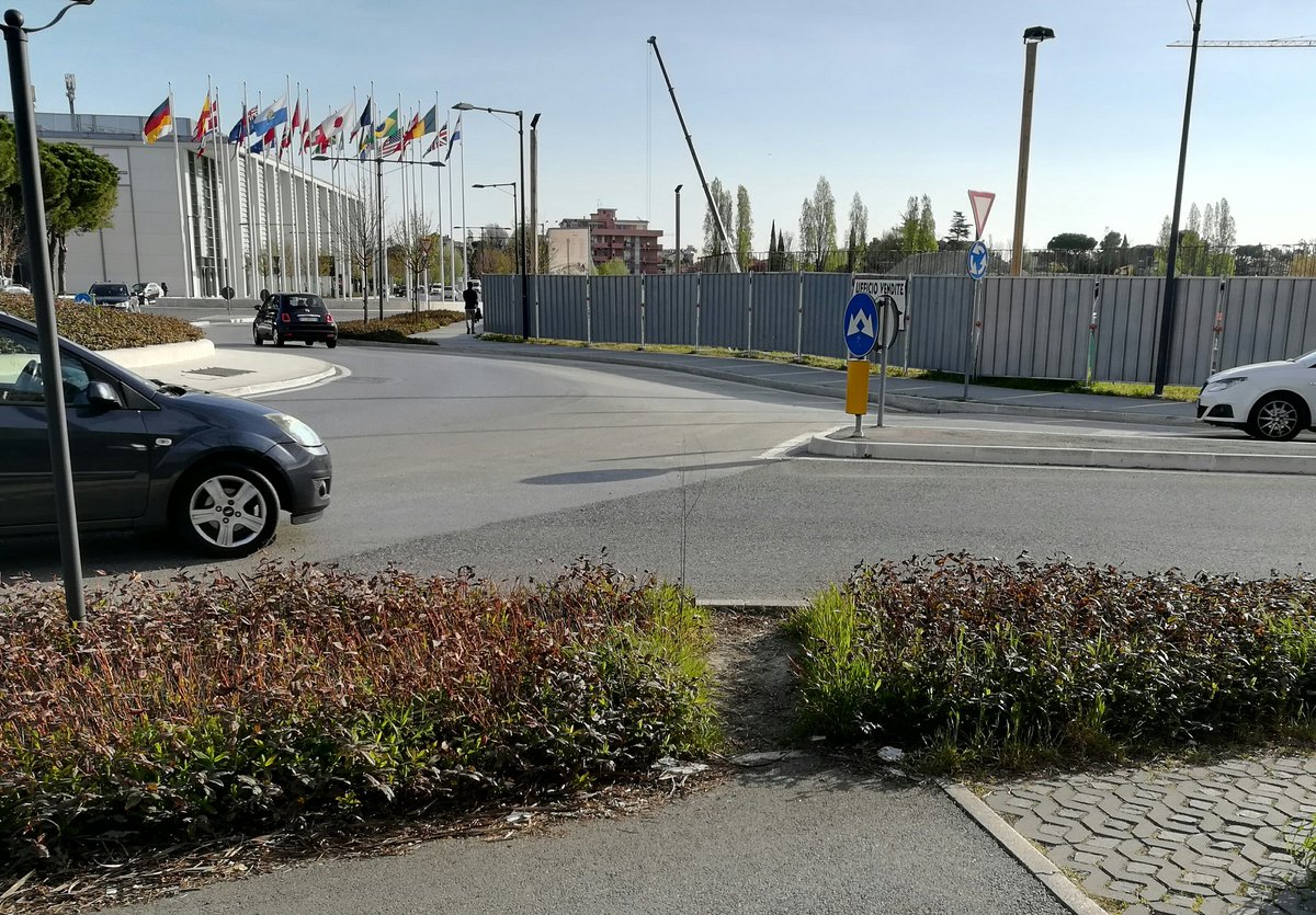 Sara Paolucci tweet media