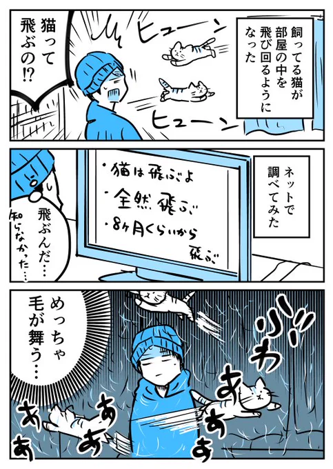【漫画】飼ってる猫が飛ぶようになった
https://t.co/Y3Fqj1Mlam 