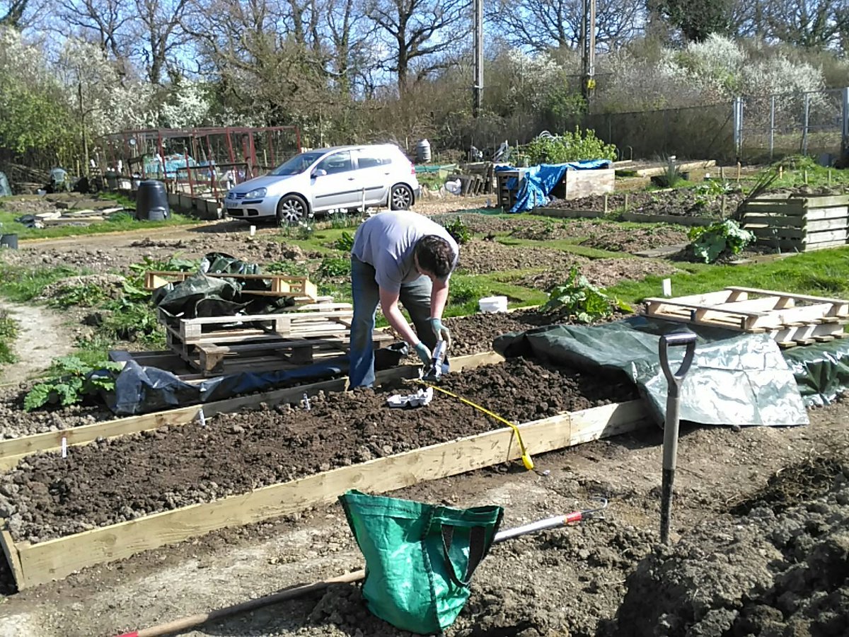 VegPlotFoodPot's tweet photo. Planting some potatoes in bed 2 on Jason's new plot. https://t.co/DPEzPjW1O0