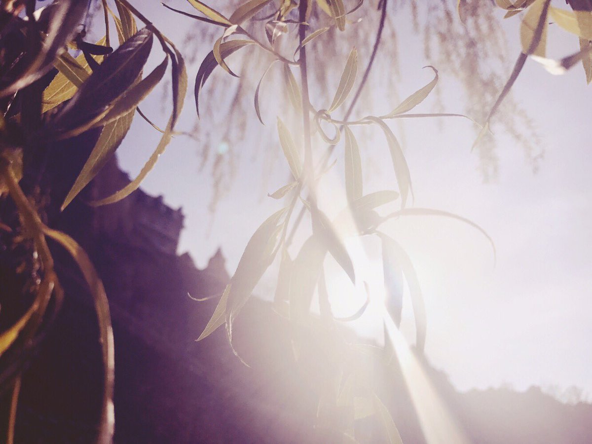 passion_isa's tweet photo. #Luxembourg 
#Passion #Photography #Sky #Sunshine #Moments #Happiness 
#FeelBlessed #Blessyia ❣️#PeaceAndLove 🌺 #TheSkYIsNotTheLimit 💫 https://t.co/AKPwkUbXL6