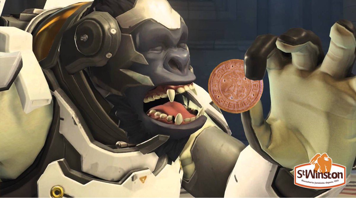 StMichel's tweet photo. Apparement Winston approuve nos galettes les amis ! #StWinston https://t.co/DKBEQF04wI